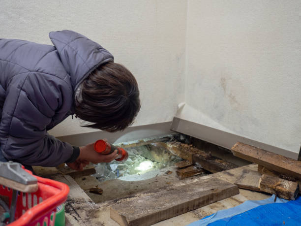 Best Crawl Space Mold Remediation  in Katonah, NY