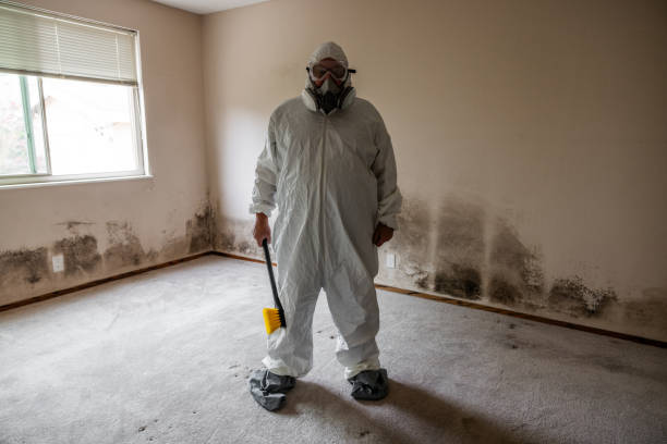 Best Attic Mold Removal  in Katonah, NY