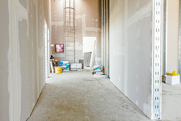 Best Airborne Mold Testing  in Katonah, NY